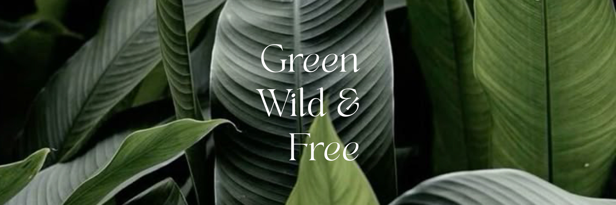 GREEN WILD & FREE